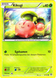 Plasma-Sturm 6/135 Kikugi