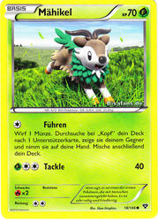 XY-Basisset 18/146 Mähikel