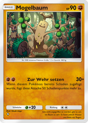 Mega-Aufstieg 125/226 Mogelbaum