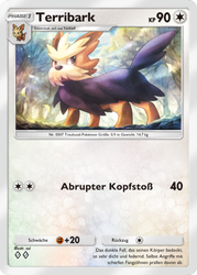 Mega-Aufstieg 202/226 Terribark