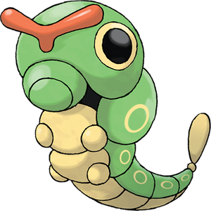Raupy
