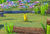 Beispielfoto für Pikachu