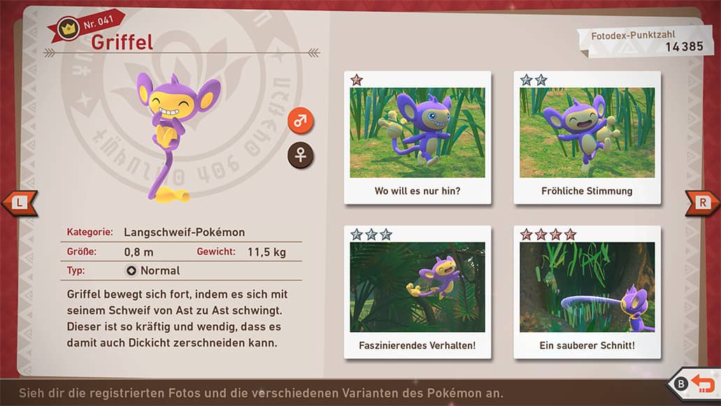Pokémon Pokémon
