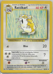 Basis-Set 40/102 Rattikarl