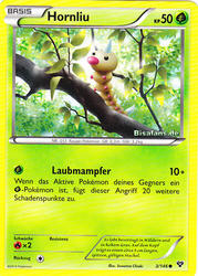 XY-Basisset 3/146 Hornliu