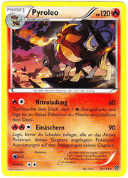 Dampfkessel 23/114 Pyroleo