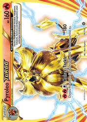 Dampfkessel 24/114 Pyroleo TURBO