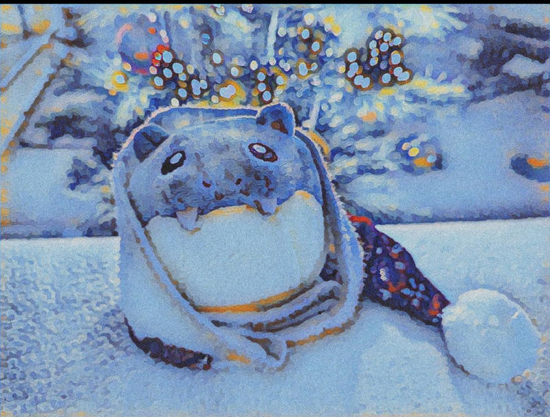 Bild im 21. Türchen