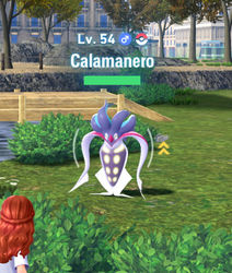 Fangraten ablesen in Pokémon Pokémon-Legenden: Z-A