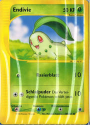 Expedition 100/165 Endivie