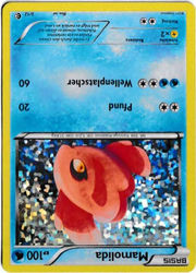 Schwarz & Weiß - McDonald's-Spezialserie 2011 5/12 Mamolida