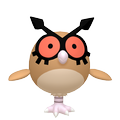 Hoothoot
