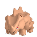 Rihorn ♀