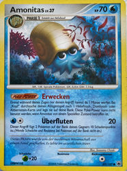 Majestätischer Morgen 69/100 Amonitas