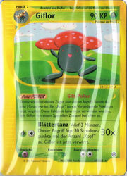 Expedition 69/165 Giflor