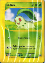 Expedition 100/165 Endivie