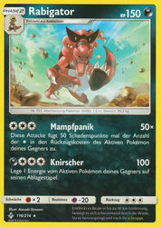 Kräfte im Einklang 116/214 Rabigator