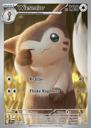 Reisegefährten 168/159 Wiesenior