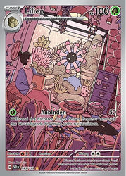 Stellarkrone 145/142 Liliep