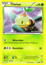 Plasma-Sturm 1/135 Chelast