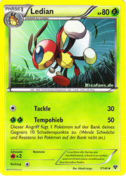 XY-Basisset 7/146 Ledian