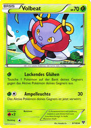 XY-Basisset 8/146 Volbeat