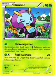 XY-Basisset 9/146 Illumise
