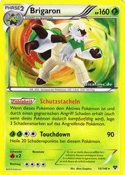 XY-Basisset 14/146 Brigaron