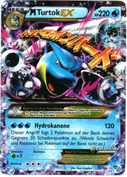 XY-Basisset 30/146 M Turtok EX