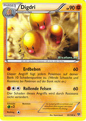 XY-Basisset 59/146 Digdri