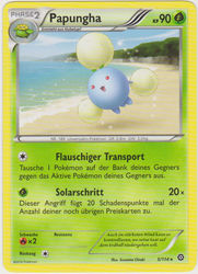 Dampfkessel 5/114 Papungha