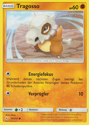 Kräfte im Einklang 90/214 Tragosso