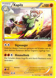 Fliegende Fäuste 50/111 Kapilz