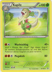 Protoschock 16/160 Kapilz