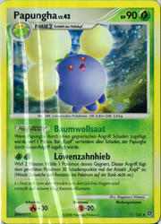 Rätselhafte Wunder 11/132 Papungha