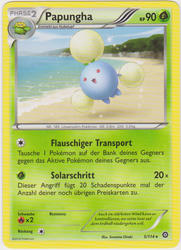 Dampfkessel 5/114 Papungha