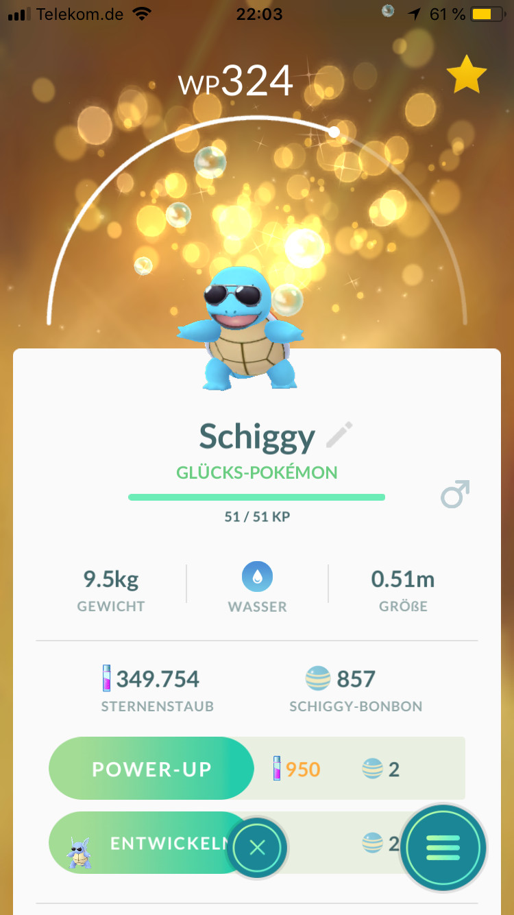Schiggy als Glücks-Pokémon Schiggy als Glücks-Pokémon