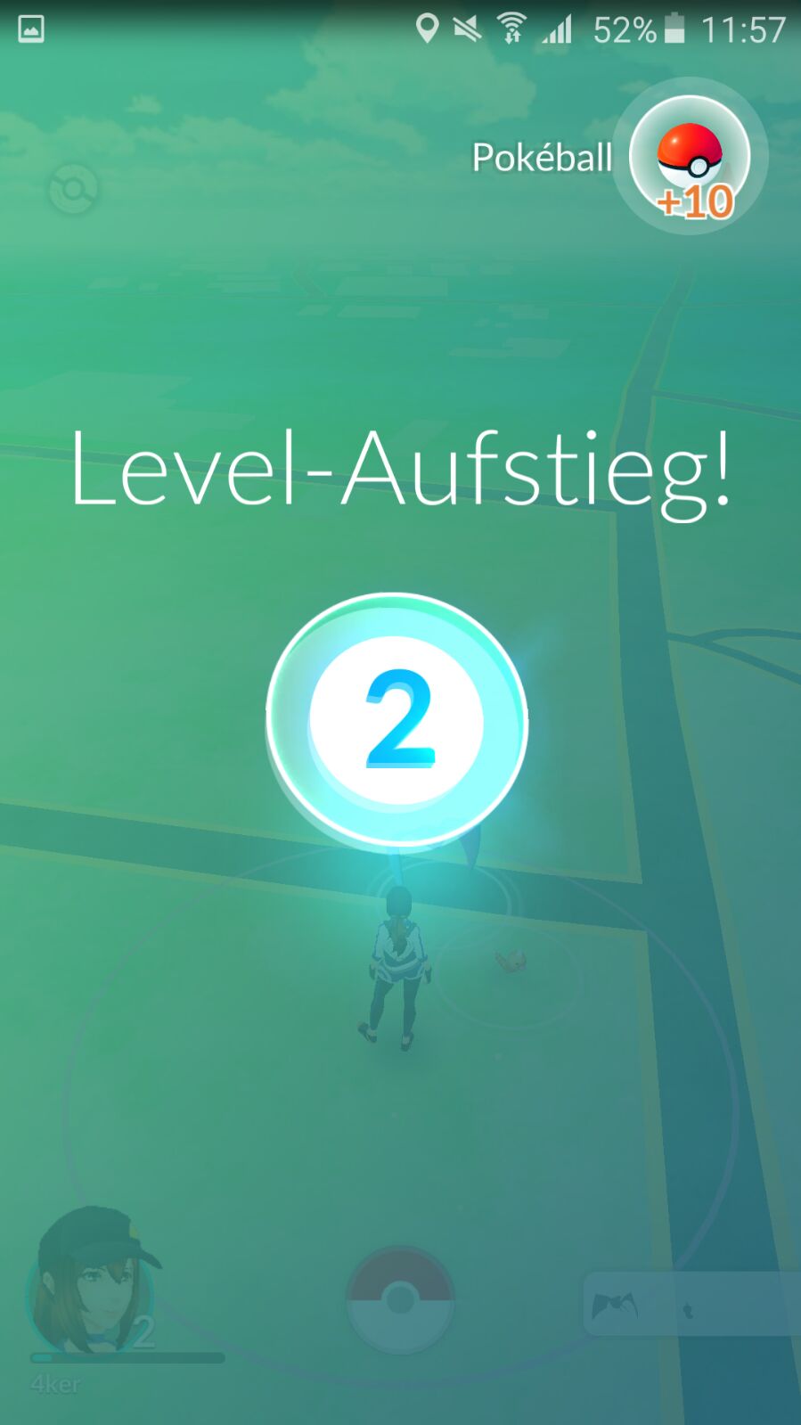 Trainerlevel Trainerlevel