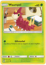 Echo des Donners 24/214 Waumpel