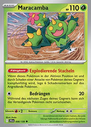 Reisegefährten 008/159 Maracamba