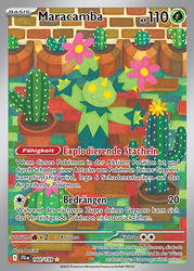 Reisegefährten 160/159 Maracamba