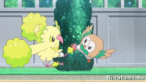 Screenshot von Choreogel