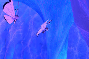 Beispielfoto für Vivillon