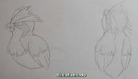 Zeichenkurs Taubsi - Schritt 7