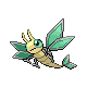 Vibrava Vibrava