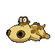 Hippopotas Hippopotas