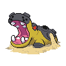 Hippoterus Hippoterus
