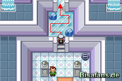 Arena Arena