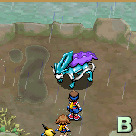 Suicune Suicune