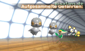 Teammitglieder Teammitglieder